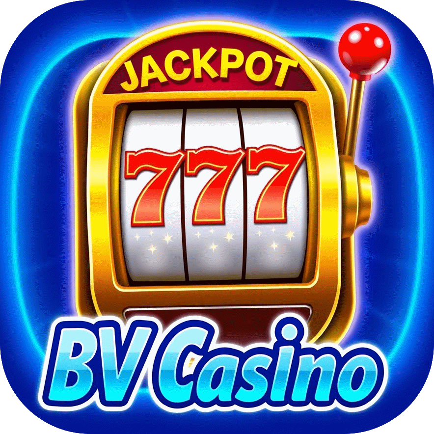 services-01 bv casino